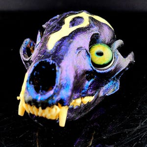 Ethically Sourced Authentic Real Raccoon Skull Natural Bone Hand Painted With Handblown Glass Eyeball