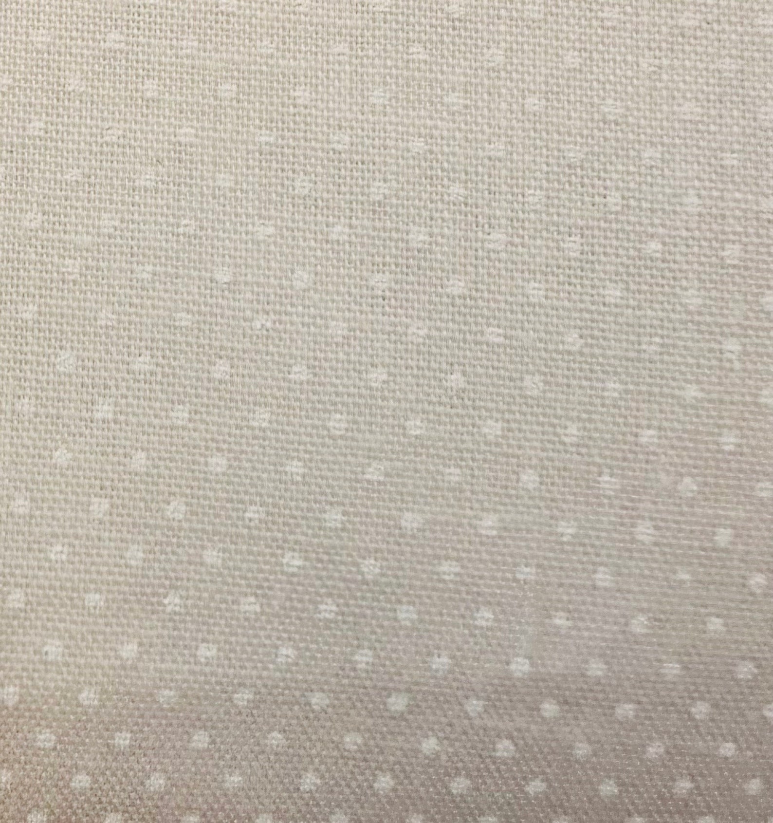 Swiss Dot Shirt in Spring Fields