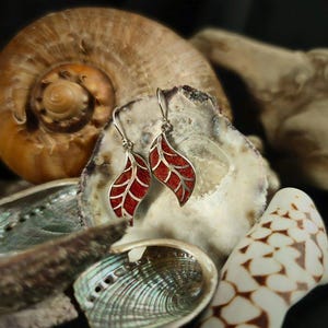 Könnte beinhalten: Ein Paar silberne Ohrringe mit roten Korallenblatt-Designs. Die Ohrringe werden auf einem Bett aus Muscheln präsentiert.