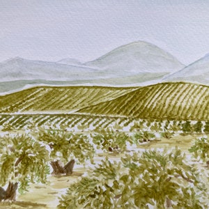 Dipinto ad acquerello originale "Ulivi in Andalusia" Opera d'arte esclusiva firmata e dipinta a mano A4, regalo d'arte unico, arredamento per la casa senza cornice