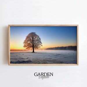 Samsung Frame TV Frost Field | Photograph, Snowy Field | Winter Frost Digital Art For TV | Photography Wall Art | Frame TV Art Winter