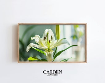 Frame TV Lily Flower Photography | Summer Flowers | Digital Art For TV | Floral Photo Wall Art | Frame TV Art Lilies | Green, Spring, Home