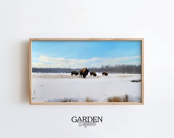 Frame TV Roaming Bison | Buffalo Print | Digital Art For TV | Modern Wall Art | Frame TV Art Winter | Digital Download | Yellowstone Art