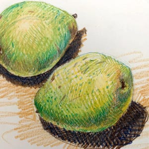 Boceto de naturaleza muerta de pera, dibujo a lápiz de color, 12 x 9, realismo, impresionismo, arte original, arte de pared para decoración del hogar, cocina, colorido y brillante