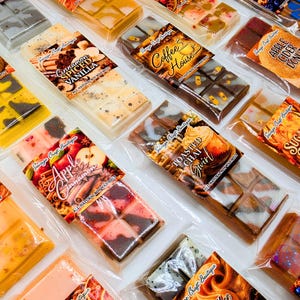 May include: A collection of rectangular soy wax melt bars in clear plastic packaging, each featuring a unique label with scent names like Creme Brulee, Cinnamon Spiced Vanilla, Coffee House, Apple Cider Donut, Toasted Chai, and Sugared Maple.