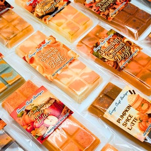 May include: A collection of rectangular soy wax melt bars in clear plastic packaging, each featuring a label with scent names like Pumpkin Crunch Cake, Vanilla Pumpkin Fluff, Pumpkin Caramel Drizzle, Pumpkin Apple Butter, and Pumpkin Spice Latte.