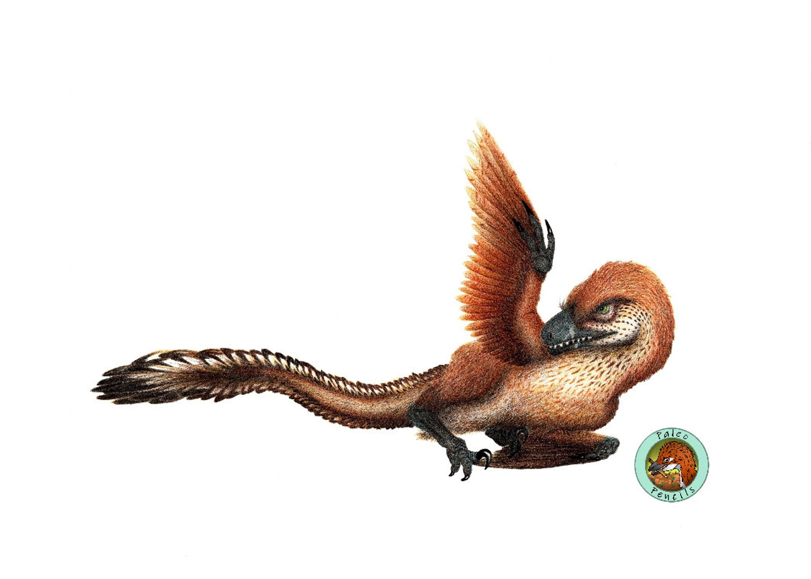 Unique Raptors Velociraptor Unique Dinosaur Mounted Pencil Sketch Print - Etsy