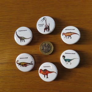 Może przedstawiać: Kolekcja białych, okrągłych przypinek z ilustracjami i nazwami dinozaurów. Dinozaury przedstawione są w odcieniach zieleni, brązu, pomarańczy i czerwieni. Pośrodku przypinek, ułożonych w okrąg, znajduje się brytyjska moneta o nominale jednego funta.