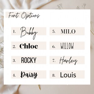 Pu&ograve; includere: Un elenco di otto opzioni di font per un progetto di design. Le opzioni sono Bubby, Chloe, Rocky, Daisy, Milo, Willow, Harley e Louis.
