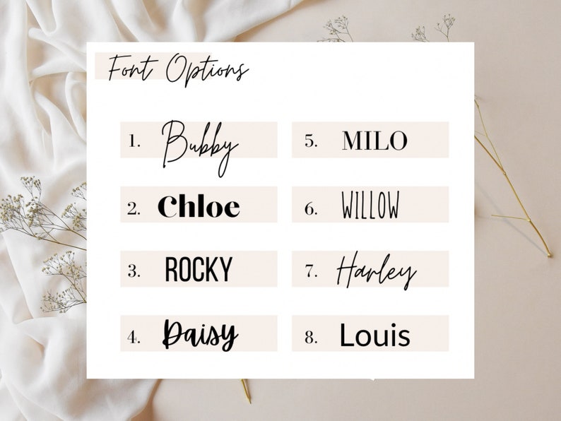 Pu&ograve; includere: Un elenco di otto opzioni di font per un progetto di design. Le opzioni sono Bubby, Chloe, Rocky, Daisy, Milo, Willow, Harley e Louis.