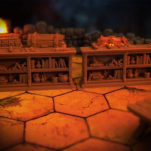 Librerie per Gloomhaven, Lion&#39;s Maw, Frosthaven e altri giochi di ruolo come Dungeons and Dragons o Pathfinder - 4 pezzi
