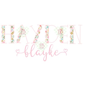 May include: A digital design featuring the names "HAYDEN" and "blayke" in a soft pink script. The letters of "HAYDEN" are outlined in pink and filled with a floral pattern. The design includes the "EB creates" logo.