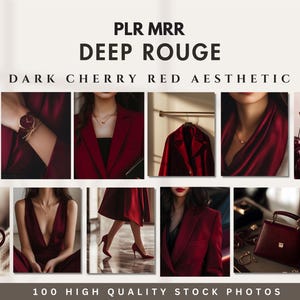 Red Aesthetic Stock Photo Deep Cherry Dark Aesthetic Images Lifestyle Marketing Faceless Girl Boss PLR MRR Branding Social Media Reel Visual