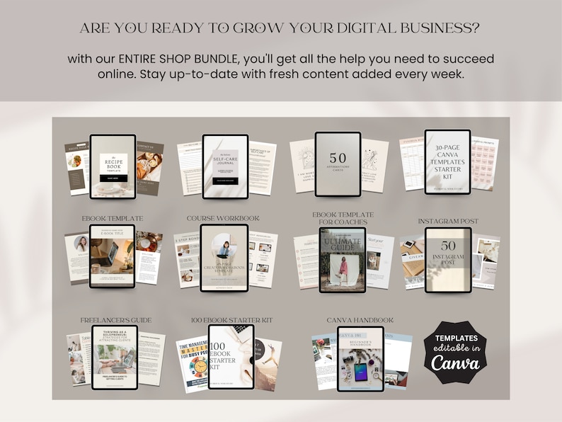 Entire Store Bundle Full Access Etsy Shop PLR MRR Digital Products to Sell Unlimited Download Past and Future Editable Canva Template
