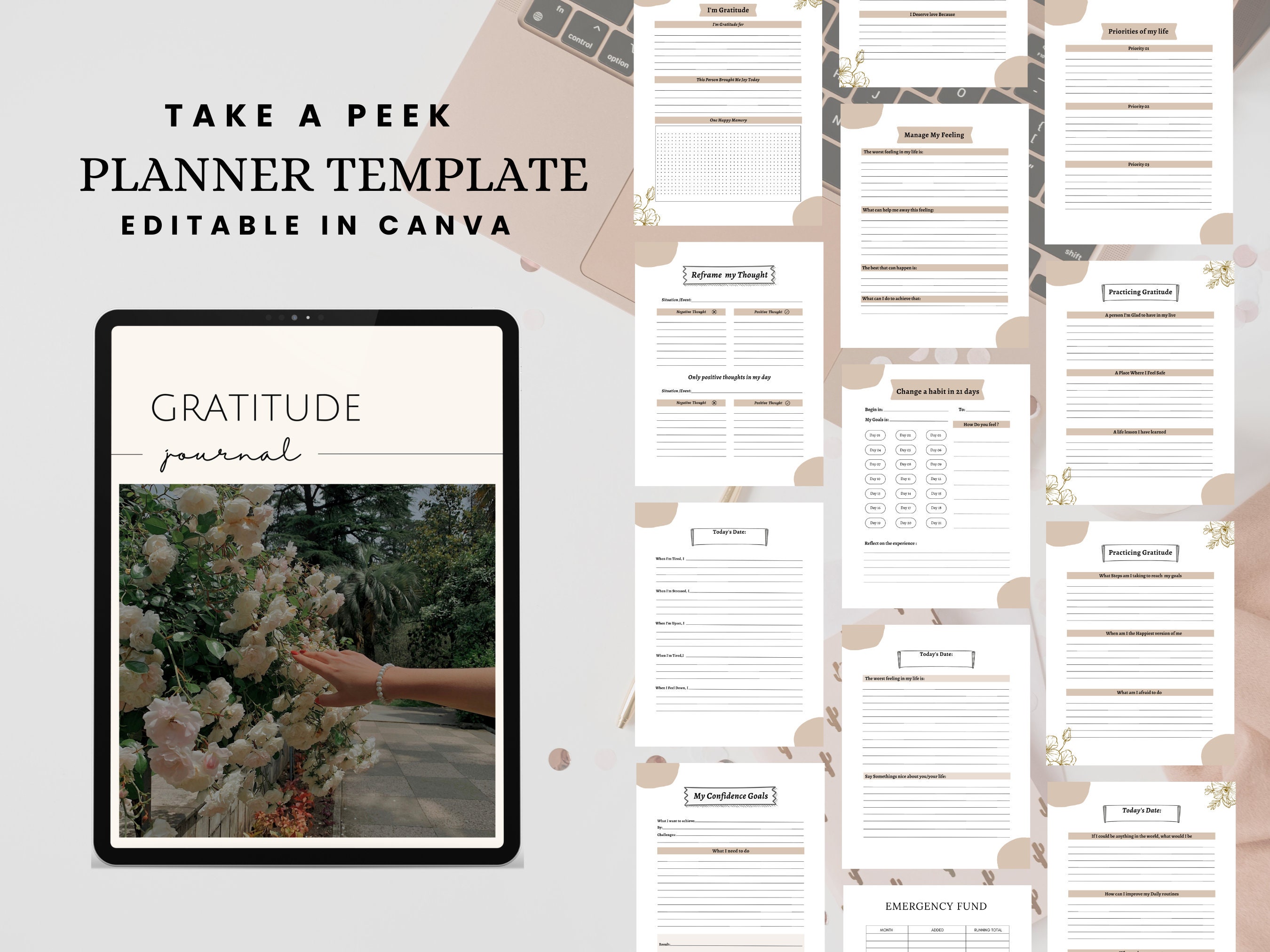 PLR Planner Gratitude Journal Template Done for You Canva Editable MRR ...