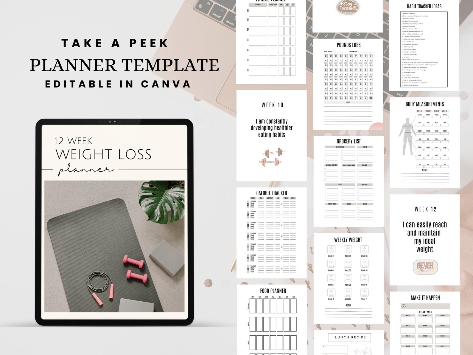 PLR Weight Loss Planner Template Canva Editable Self Care Journal 12 ...