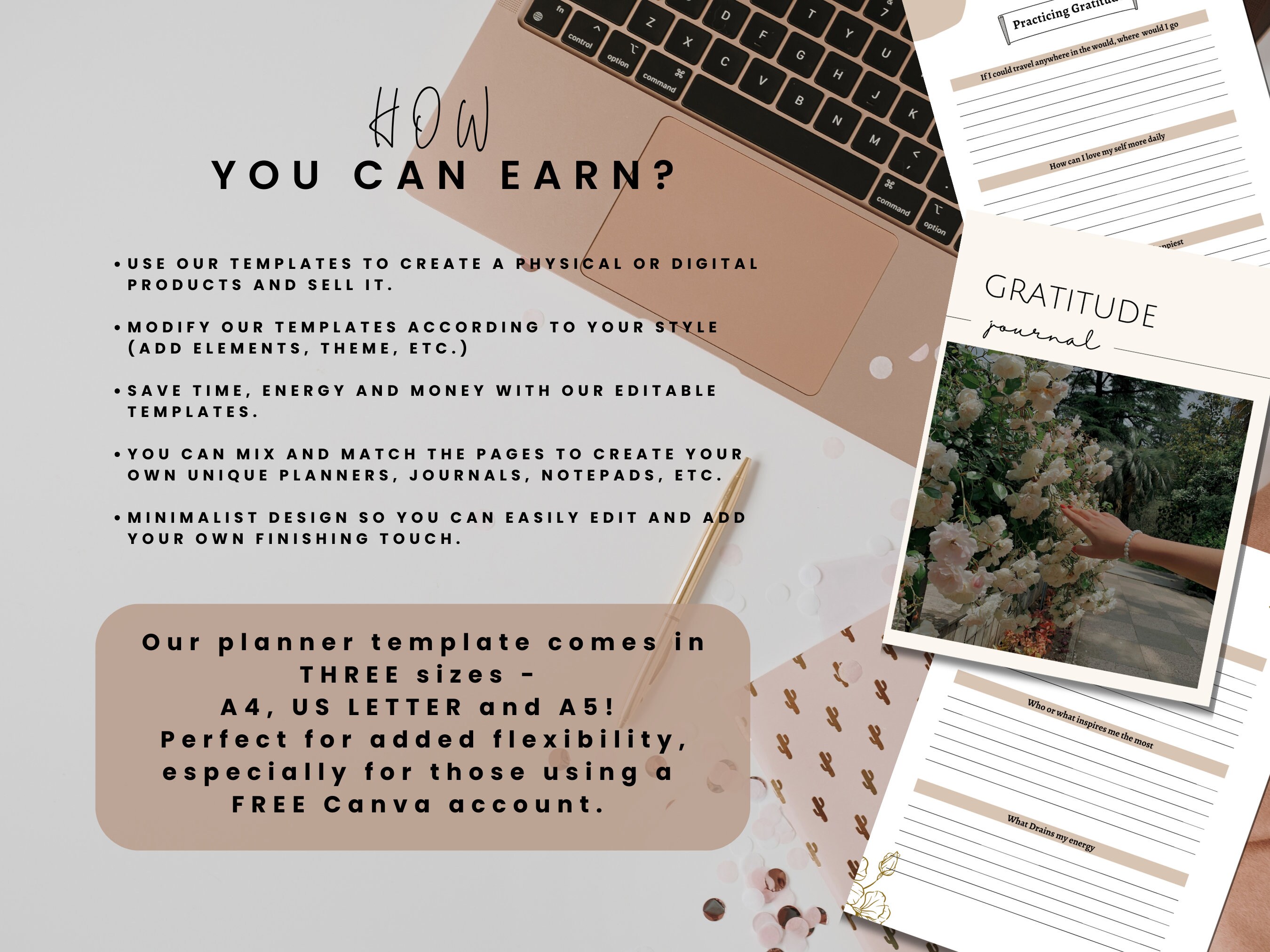 PLR Planner Gratitude Journal Template Done for You Canva Editable MRR ...