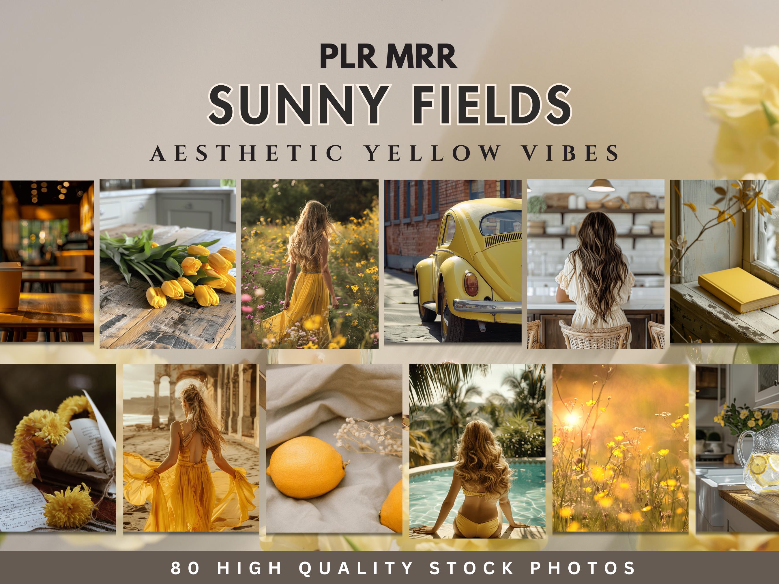 Yellow Aesthetic Stock Photo Dreamy Sunny Photography Faceless Content Stock Images Instagram Marketing PLR MRR AI Branding Social Media