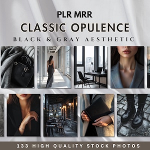 May include: A collection of 133 high-quality stock photos featuring a black and gray aesthetic. The images showcase a variety of scenes, including a woman in a gray blazer, a woman in a black dress, a woman holding a black purse, a woman holding a black notebook, a woman sitting at a desk, and a woman walking down a hallway. The images are perfect for use in social media, websites, and marketing materials.