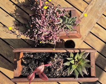 Juego de 2 maceteros para interior o exterior de madera Merbau