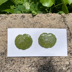 Real Leaf Earrings, Centella Leaf Resin Studs, Handmade Dried Leaves Earrings, Botanical Jewelry, Green Plant Earrings, Birthday Gift