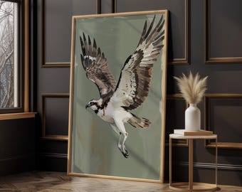 Lámina decorativa de águila pescadora, ilustración de ave rapaz, decoración minimalista de vida silvestre, póster de naturaleza contemporáneo, obra de arte de águila pescadora
