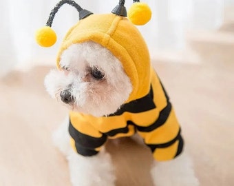 Cute Bee Custome for Pets, Bee Custome For Dogs & Cats, Petite Summer Customes for Pets