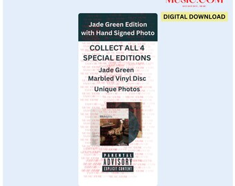 Taylor Vinyl Record LP CD Hype Sticker Dupe Sostituzione Digitale SVG (Opzione 11)