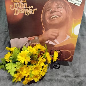 An Evening With John Denver