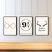 Vinyl Records Wall Art Set of 3, Record Player Print Gift for Music ...