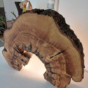 May include: A distinctive, arch-shaped wooden lamp. The lamp is made from a cross-section of a tree trunk, displaying the natural wood grain and bark. The warm light shines from within the wooden structure, creating a cosy ambiance.
