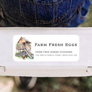Etiketten voor eierdozen met ontwerp, witte of bruine etiketten boerderij en hoeve, stickers verse eieren, etiketten voor boerderijproducten, eieretiketten