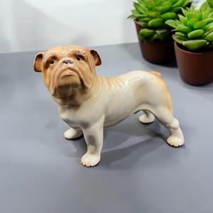 Puede incluir: Figura de bulldog de cerámica en posición de pie. El perro tiene un cuerpo color crema con marcas marrones en la cabeza y las orejas. La figura está detallada con arrugas y una expresión seria. El fondo incluye plantas verdes en macetas.