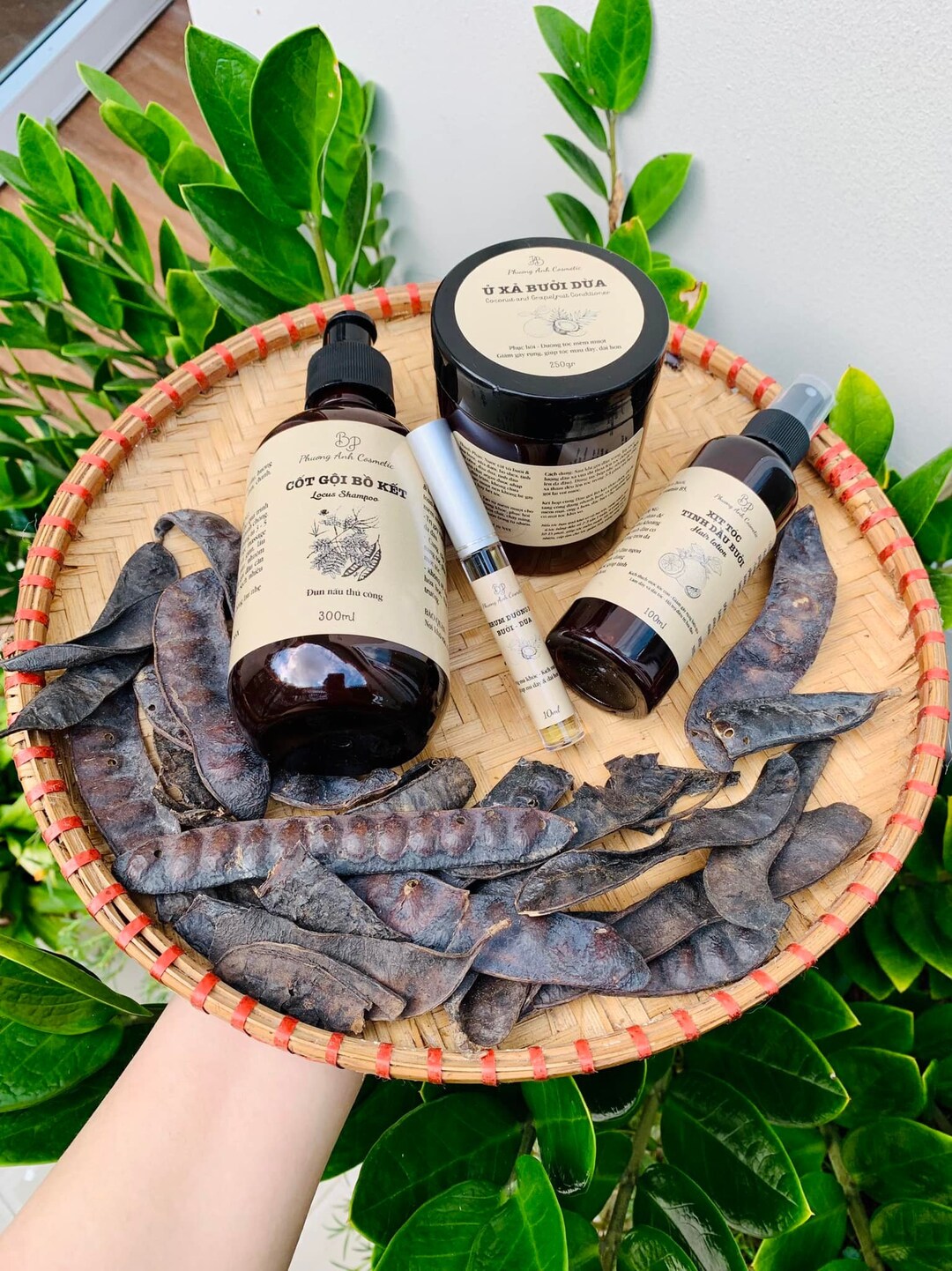 Set of Natural Plantbased Shampoo and Conditioner hair Etsy