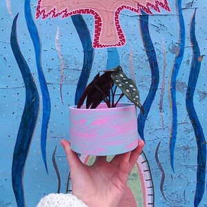 Peut inclure: Un pot de fleurs rose et bleu avec une plante verte à l'intérieur. Le pot est tenu par une main devant un mur bleu avec un motif peint d'un oiseau rose avec des cercles blancs.