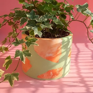 May include: A green and orange concrete planter with a leafy green plant growing inside. The planter has a unique abstract design with a light green base and orange accents.