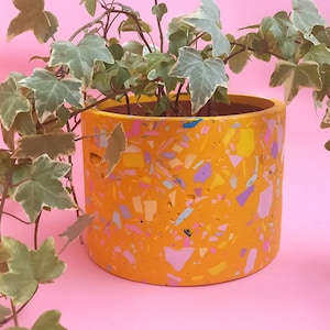 May include: A yellow terrazzo planter with a green and white variegated ivy plant. The planter has a speckled pattern with pink, blue, and yellow accents.