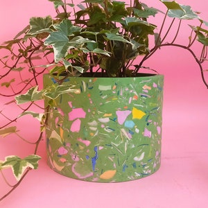 May include: A green terrazzo planter with a variegated ivy plant. The planter has a speckled pattern with pink, yellow, blue, and white accents.