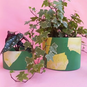 May include: Two green and yellow patterned ceramic planters with plants. The larger planter has a leafy green plant and the smaller planter has a dark green plant with white spots.