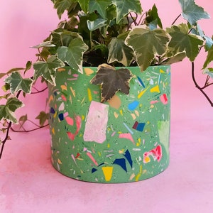May include: A green terrazzo planter filled with a vibrant green ivy plant. The planter has a cylindrical shape and is decorated with colorful chips of pink, yellow, blue, and white. The ivy has green and white variegated leaves.