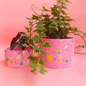 以下が含まれることがあります： 緑の葉の植物が入ったピンクのテラゾのプランターが2つ。大きなプランターは小さなプランターよりも背が高いです。