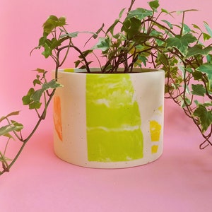 May include: A white planter with abstract green, yellow, and orange paint designs. A green plant with variegated leaves is growing in the planter.