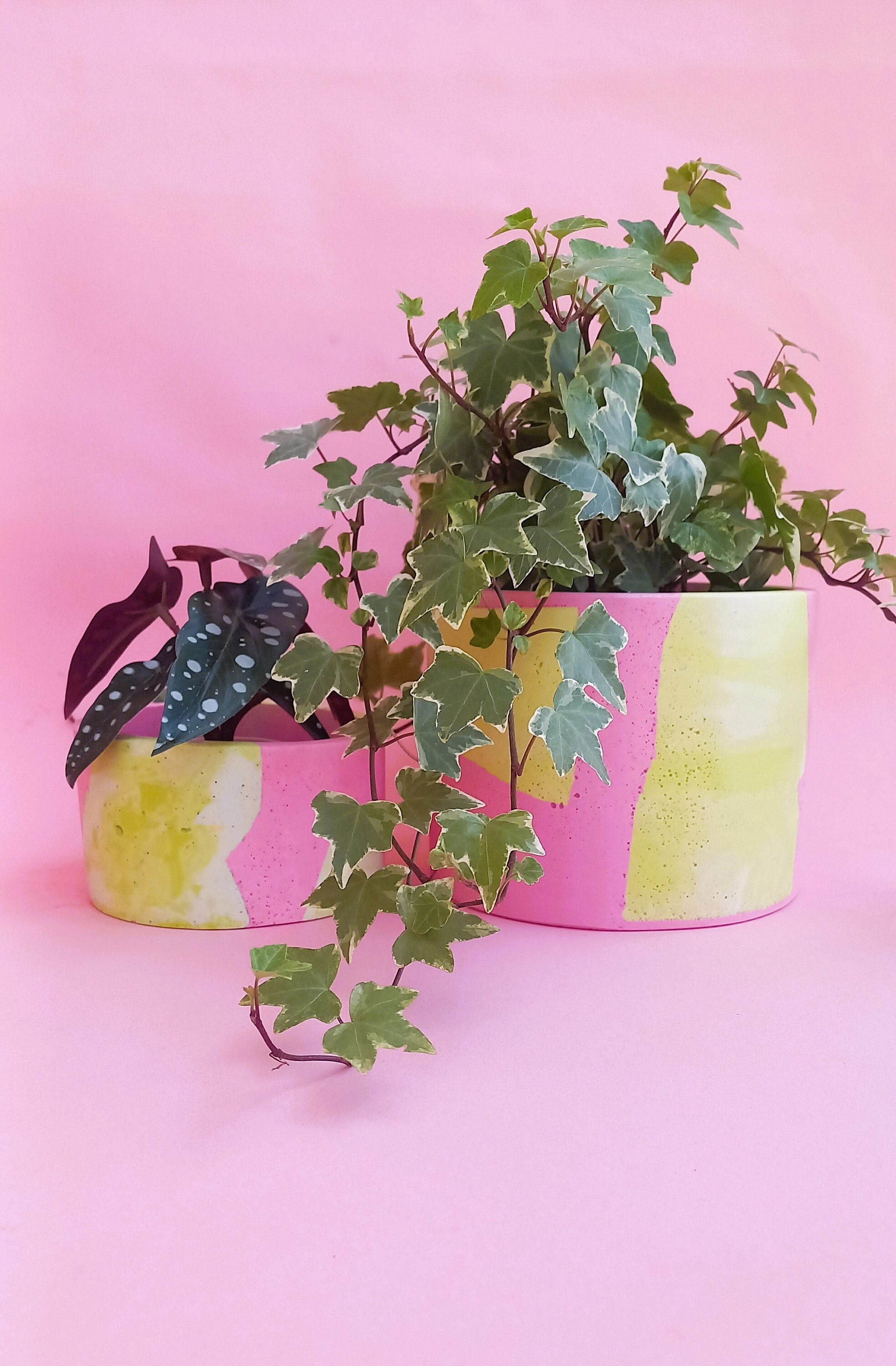 テラゾー植木鉢カバー / ピンクのテラゾー植木鉢 - Etsy 日本
