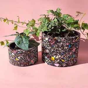 Puede incluir: Dos jardineras cilíndricas con diseño de terrazo negro, llenas de vegetación, sobre un fondo rosa. Las jardineras son de diferentes tamaños, la más grande con hiedra. El patrón de terrazo incluye virutas de colores.