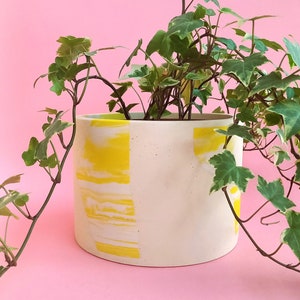 May include: A white ceramic planter with yellow abstract brushstrokes, featuring a green leafy plant.