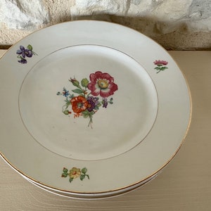 Six Vintage French Floral Mailin Des Loups Plates