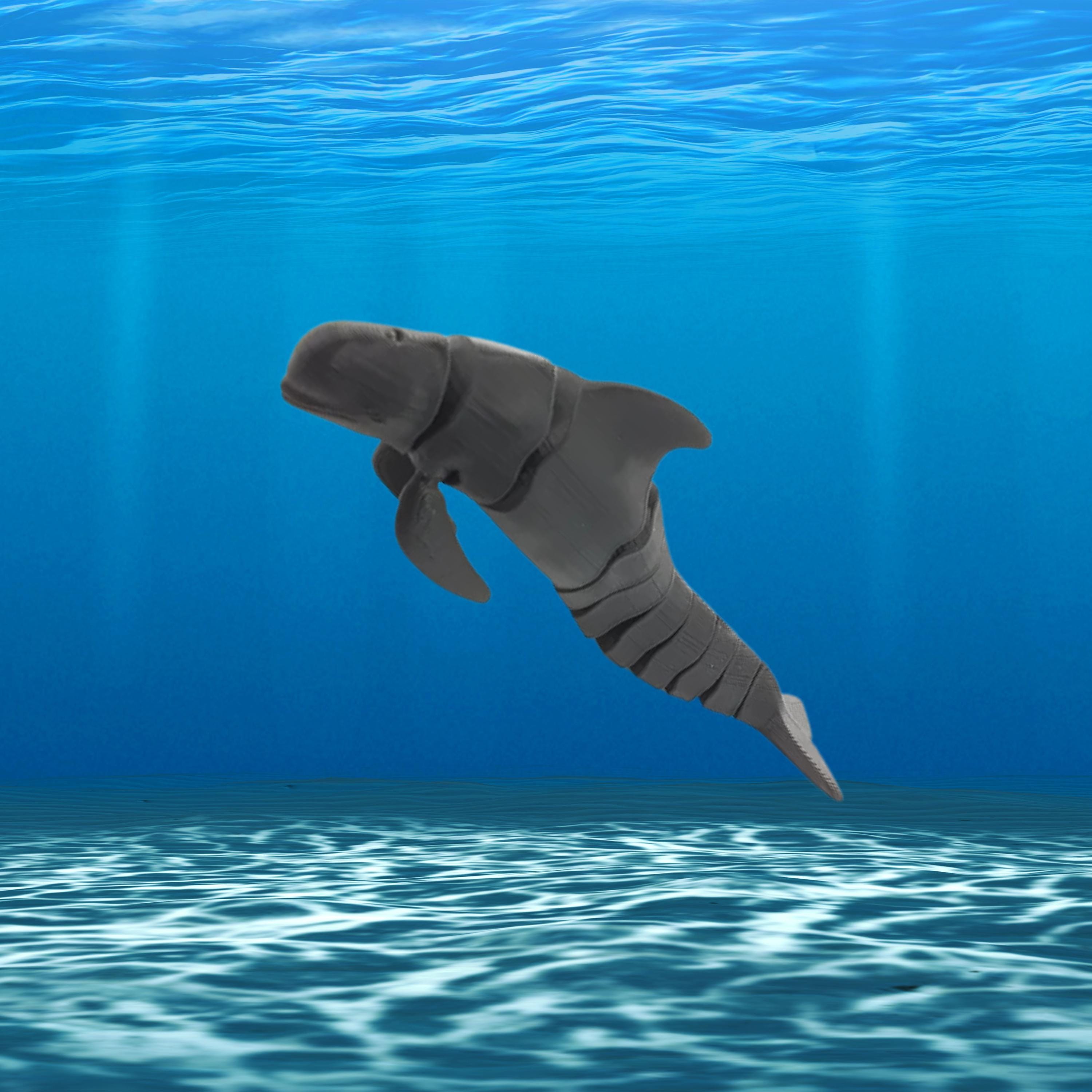 Articulated 3D Printed Pilot Whale - Flexible Marine Toy & Desk