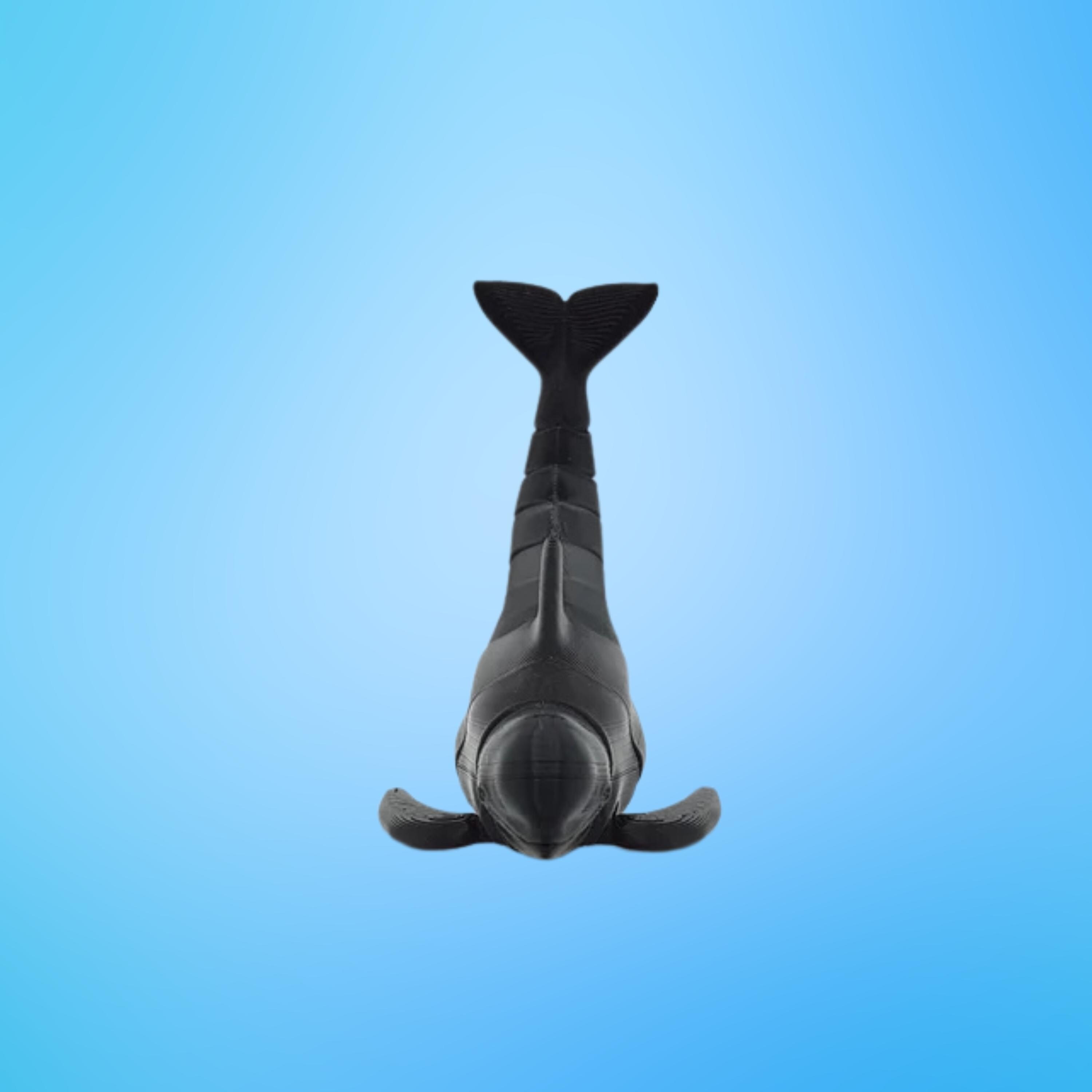 Articulated 3D Printed Pilot Whale - Flexible Marine Toy & Desk