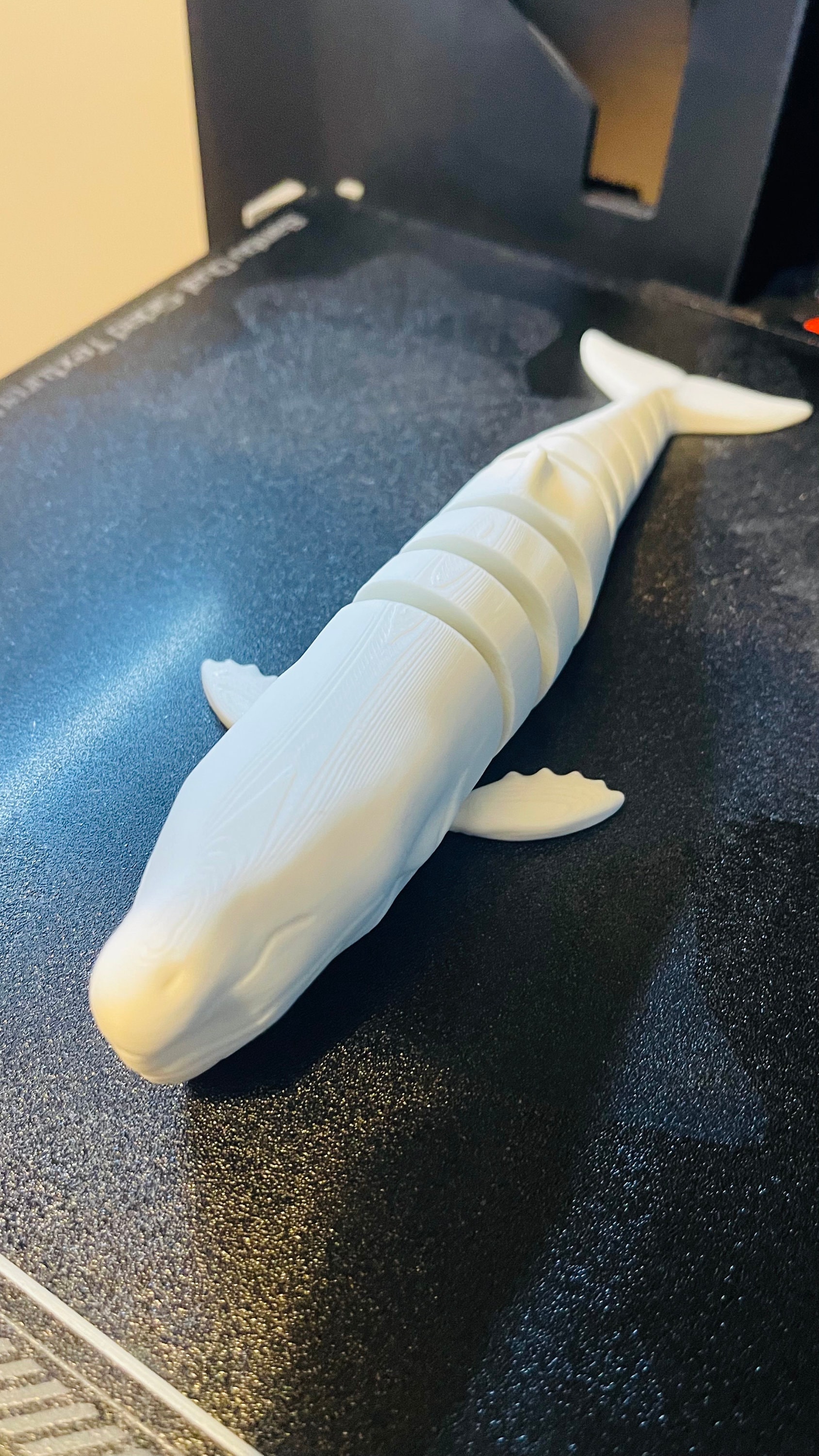 Moby Dick Flexible Toy, Fidget Toy, White Whale, Classic Sea