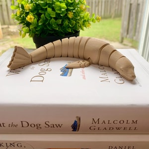 Puede incluir: Una figurita de foca de madera segmentada descansando sobre un libro titulado "What the Dog Saw" de Malcolm Gladwell. El libro está encima de otro libro con el título "KING, DANIEL" visible.